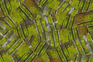 Red Brick Texture with Green Moss Pattern