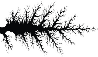 Black silhouette of bare tree branch or roots isolated on transparent background nature element