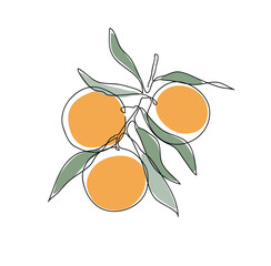 Orange tree branch. Modern single line art drawing. Continuous line drawing. Outline draw design color vector illustration