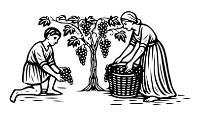 Vintage-style illustration of people harvesting grapes.Traditional woodcut look, rural agriculture scene, grape picking and vineyard work depicted in a classic black-and-white engraving graphic style.