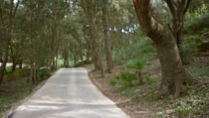Fototapeta premium Defocused view of a serene mediterranean road lined with green trees and fields, showcasing the beauty of nature with a bokeh effect in a peaceful setting.