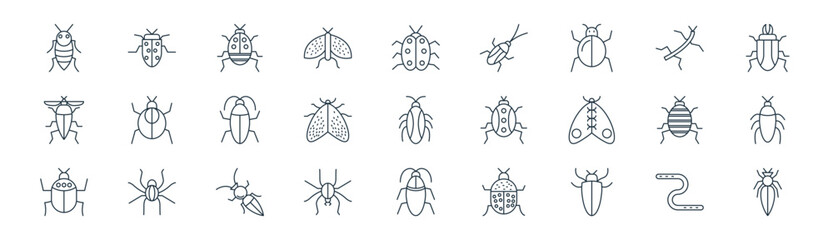 linear insects icon pack. vector thin line icons collection such as earthworm, insect, bug, insect, insect, cockroach, cockroach, pest © Icon World