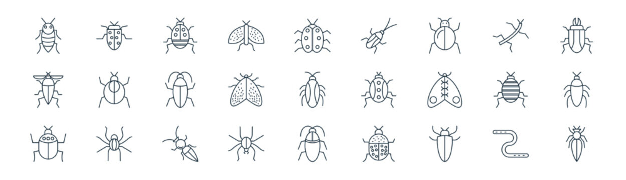 linear insects icon pack. vector thin line icons collection such as earthworm, insect, bug, insect, insect, cockroach, cockroach, pest