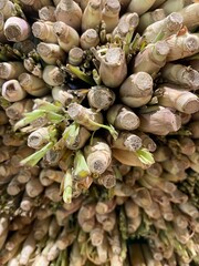 Freshly harvested lemongrass at market. Freshly harvested lemongrass stalks bundle together for sale at local market. Organic herbal ingredient used in Asian cooking and traditional remedies.