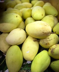 Fresh Green mangoes stacked together in a market setting. The fruits show natural textures and surface details, commonly seen in tropical produce. 