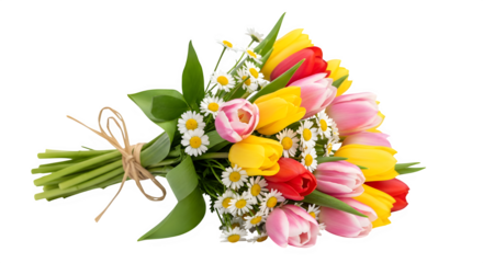 Beautiful bouquet of colorful tulips and small white daisies tied with twine, isolated on transparent background
