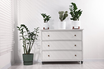 Different potted houseplants on dresser near white wall indoors