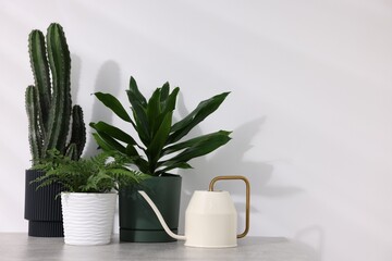 Different green houseplants and watering can on grey table near white wall indoors, space for text