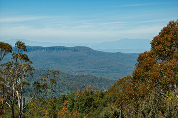 Mountain panorama above dense Tasmanian forest, suited for geography content, wilderness campaigns and scenic design projects.