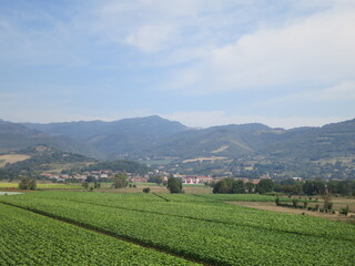 Fototapeta premium Agrarian countryside in Europe with pastoral farmrand in the foreground and mountains in the background