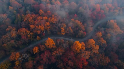 Drone-view perspective of a winding path running through a dense deciduous forest glowing with vivid orange and crimson leaves, early morning haze adding depth and atmosphere, with rich seasonal color