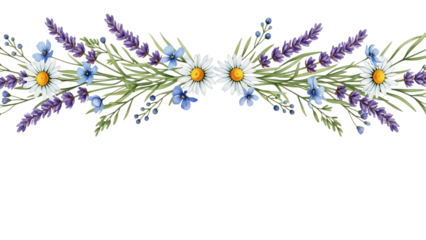 Transparent background beautiful floral border with daisies and lavender on transparent background