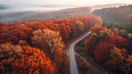 Drone-view perspective of a winding path running through a dense deciduous forest glowing with vivid orange and crimson leaves, early morning haze adding depth and atmosphere, with rich seasonal color