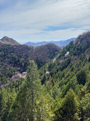Mountain forest landscape near the Great Wall of China. Green hills and blooming trees, cloudy blue sky at springtime.