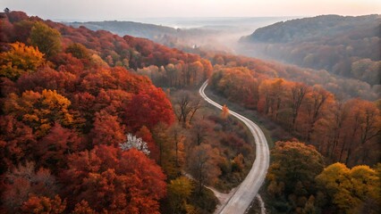 Drone-view perspective of a winding path running through a dense deciduous forest glowing with vivid orange and crimson leaves, early morning haze adding depth and atmosphere, with rich seasonal color