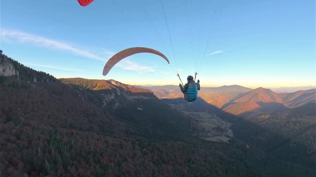 Paragliders Flying Above Autumn Forest, Aerial Freedom Adventure