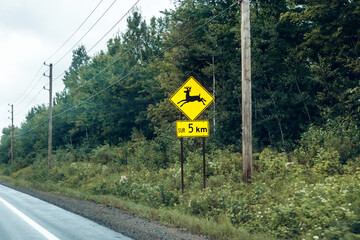 A roadside traffic sign warning about deer crossing over the next 5 km along a forest highway in Quebec