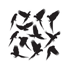 Parrot Silhouettes Collection,Parrots Silhouettes,Vector Parrot Silhouettes,Tropical Parrot Silhouettes,parrot vector
