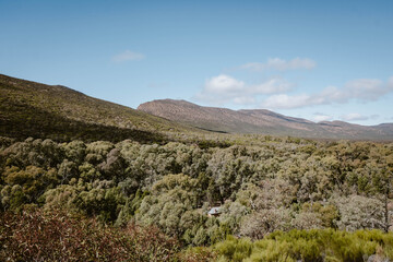 Panoramic mountain view on the green vegetation of the trees and bushes outdoor at daytime in Wilpena Pound at Wangara Lookout during springtime season in Flinders Ranges in Australia.