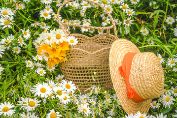 A straw hat, wicker bag with bouquet of white and yellow daisy flowers on a blooming meadow