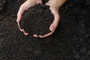 Soil in a man hands. Selective focus.