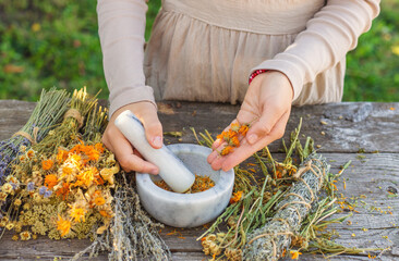 Woman with dried medicinal herbs. Selective focus.