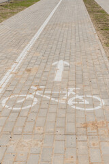 A bicycle lane marked with a white bike symbol and an arrow on a paved path. The surface is slightly dirty with grass on the sides.