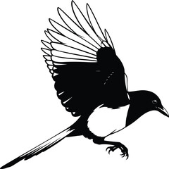 Flying Bird Detailed Nature Vector Illustration