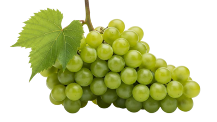 Green grapes with leaf on digital glitch background grape bunch vine