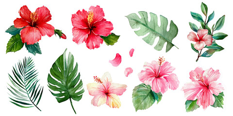 Vibrant tropical hibiscus flowers and exotic green leaves watercolor illustration set © darkheaven