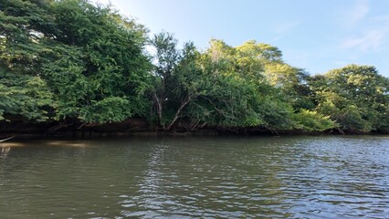 Costa Rica Mangroves &ndash; A Vital Coastal Ecosystem