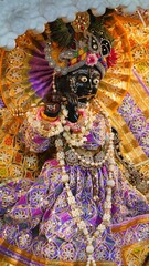 Lord krishna, Shri Radha Sneh Bihari Ji Idol