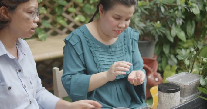 Person with blindness disability learning about soil and growing media in gardening by touch and smell with the helping of her senior friend gardener in home garden nature background