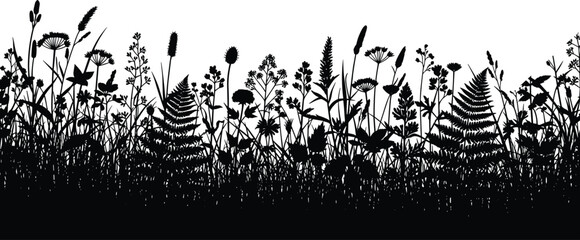 wildflower silhouette, butterfly meadow, black and white nature, vector foliage, botanical illustration, grass field, fern art, minimal floral scene © LILUFA