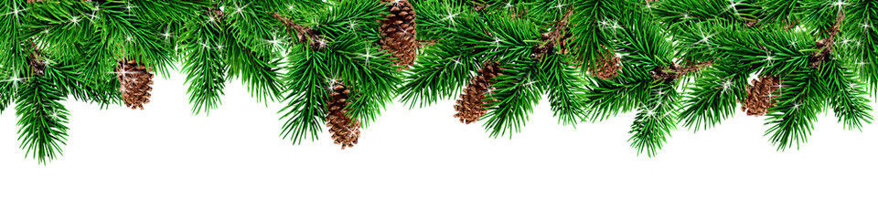 Fir Tree Branches on White Background &ndash; Christmas Greenery Decoration for Holiday Scenery