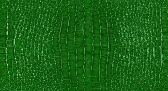 Luxurious vibrant green alligator hide texture, a detailed seamless natural reptile skin pattern for fashion design or decorative use ,close-up ,raw ,detailed