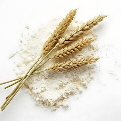 A close up of wheat stalks lying on a pile of white flour on a white background