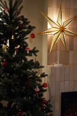 Christmas tree in the house