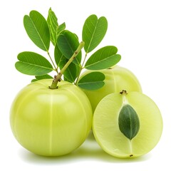 Close up of three green amla fruits with leaves on a white background studio shot