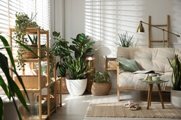 Stylish living room with sofa and houseplants. Interior design