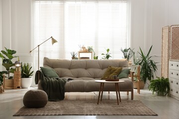 Stylish living room with sofa and houseplants. Interior design