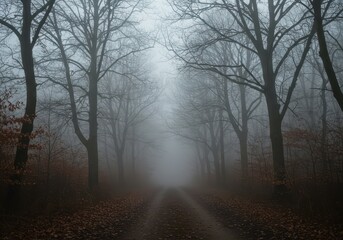 Obraz premium Eerie, dense fog shrouds a desolate, cold woodland path in late autumn. The skeletal branches of trees suggest hidden horror and dread ,woods ,lateautumn ,deepshadows