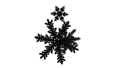 Obraz premium Black snowflake design on with intricate patterns and details