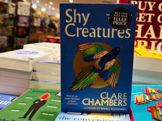Fototapeta premium Blue cover of Shy Creatures by Clare Chambers on a bookstore display