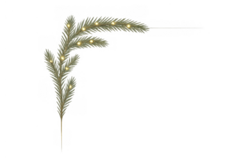 Pine branch with glowing fairy lights for festive christmas and holiday season decoration, transparent background