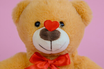 soft plush teddy bear with charming details, expressive plush figure adorned with lovethemed accents for sale