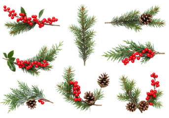 Christmas holiday decorations elements including pine branches, vibrant red berries, and natural pine cones arranged in a festive collection for seasonal designs.