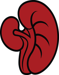 Fototapeta premium Stylized Cartoon Red Human Kidney with Black Outline vector illustration EPS file download. 