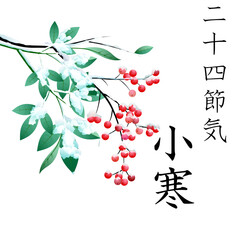 二十四節気の小寒