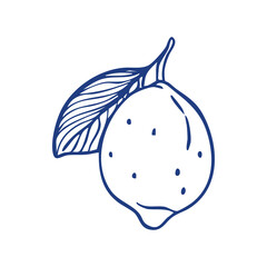 Vector illustration of a lemon in hand-drawn doodle line art style, featuring a simple outline with leaf details.